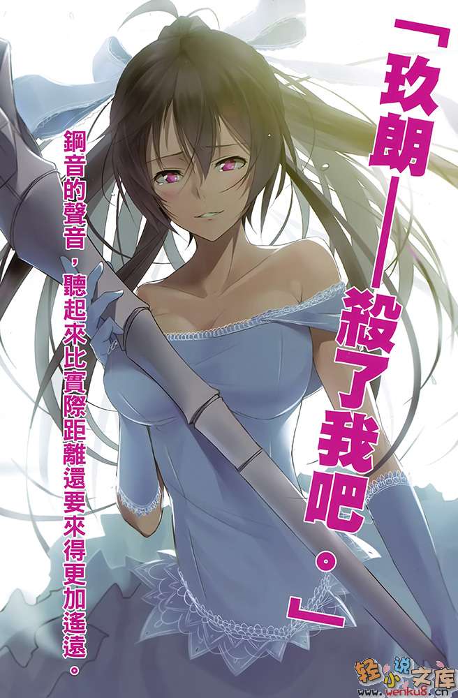 《钢音之剑》3 插图（5）