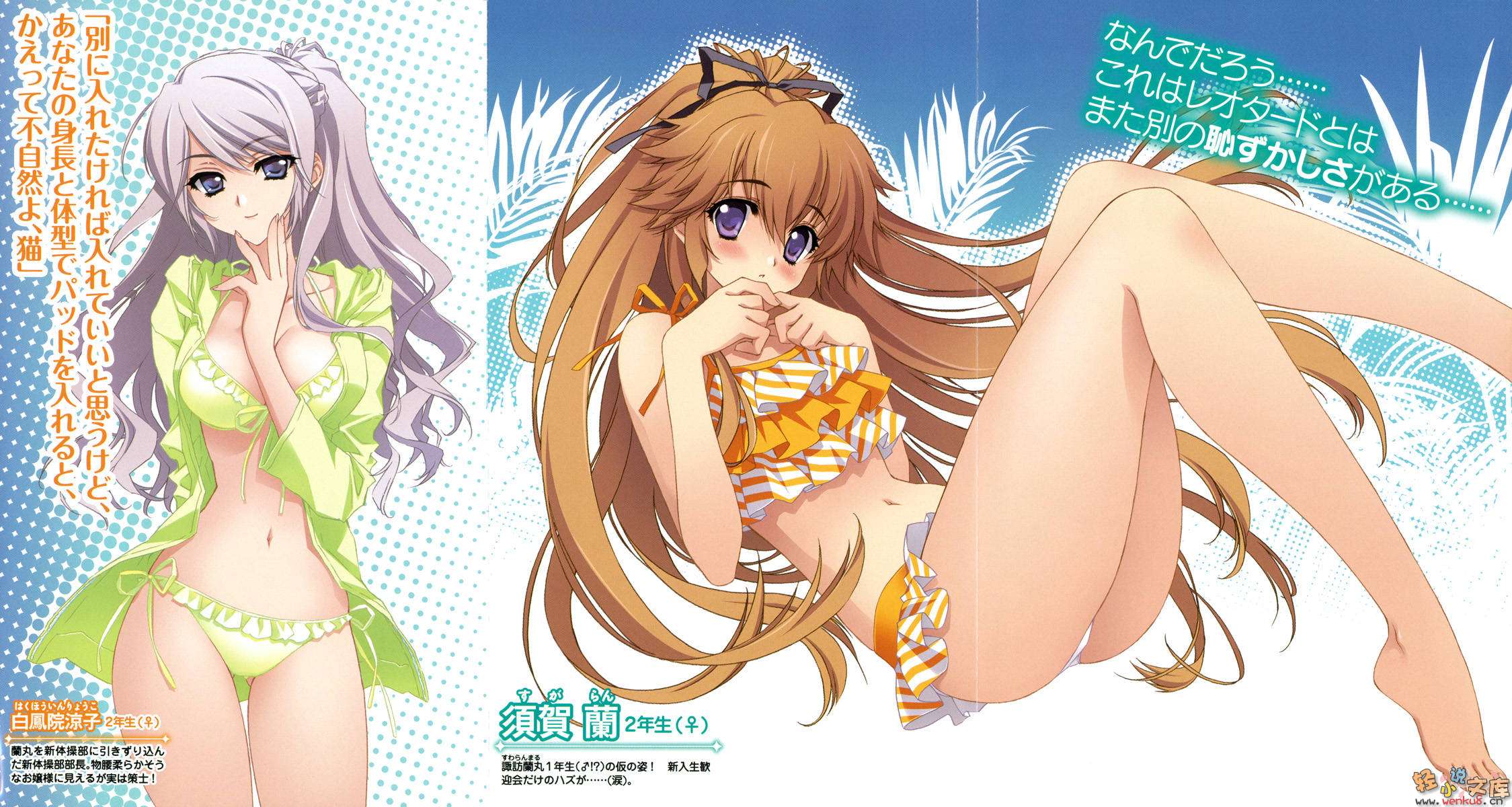 《Mix！误打误撞成了体操少女》2 不要叫我姊姊 插图（3）