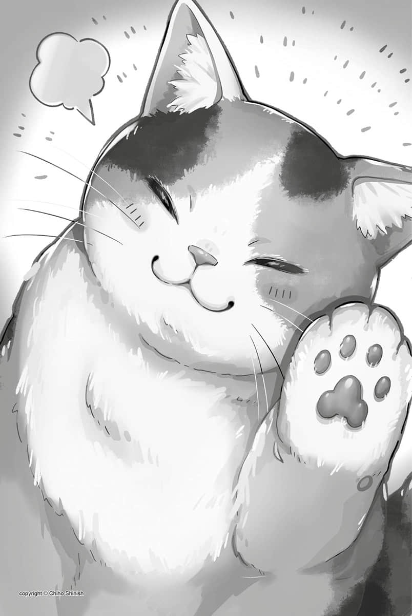 《虽然世界变成怪物横行 有可以依赖的猫就没问题》1 插图（16）