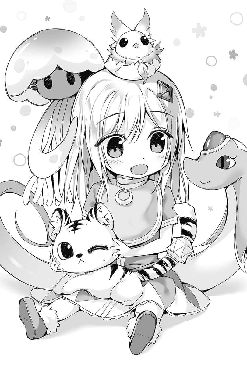 《靠神兽们成为世界最强吧》5 插图（5）