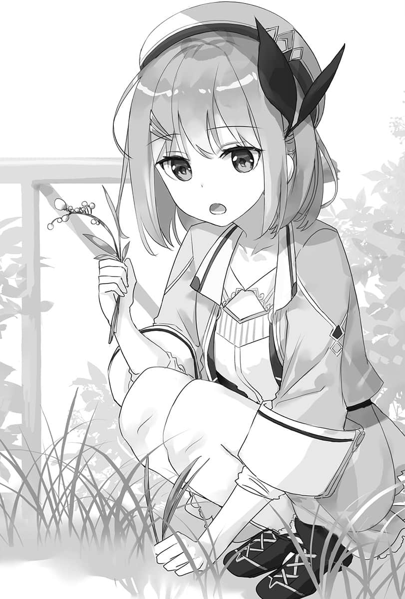菜鸟炼金术师开店营业中小说插图（15）