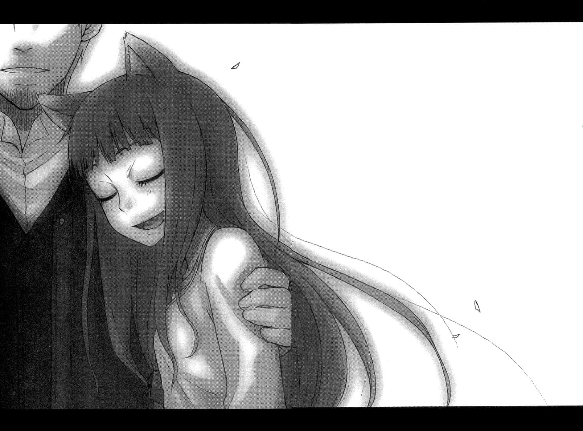 《狼与辛香料》3 插图（19）