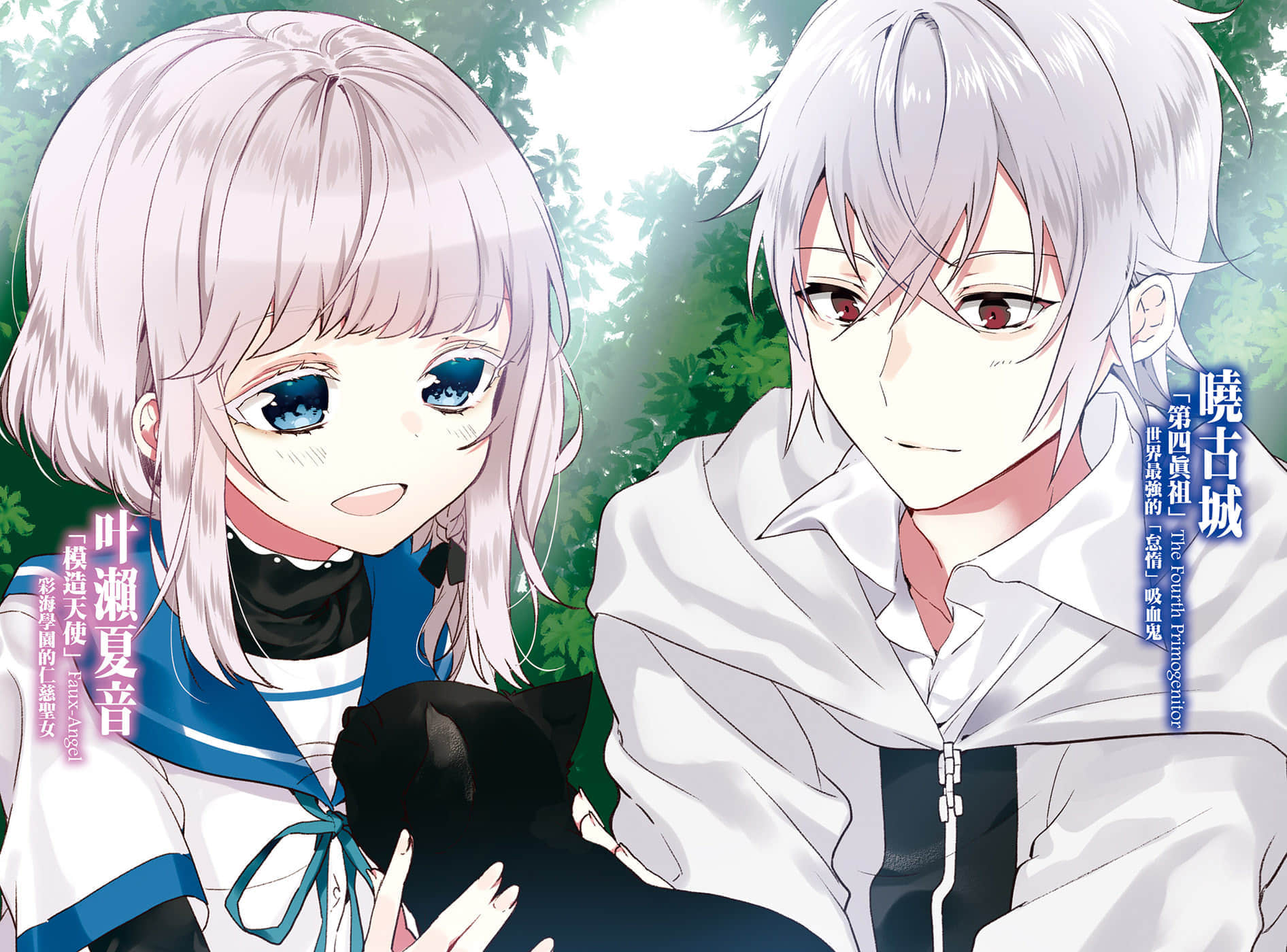 《噬血狂袭 Strike the Blood》19 无尽夜宴 插图（3）