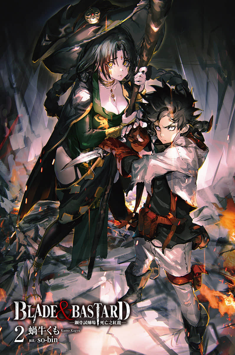 BLADE＆BASTARD小说插图（22）