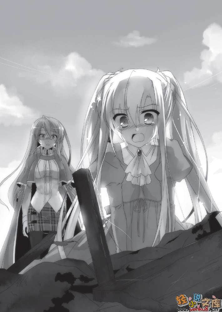天翔虎军师小说插图（7）
