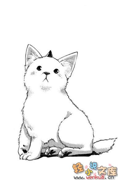 将花束献给月亮与你小说插图（100）