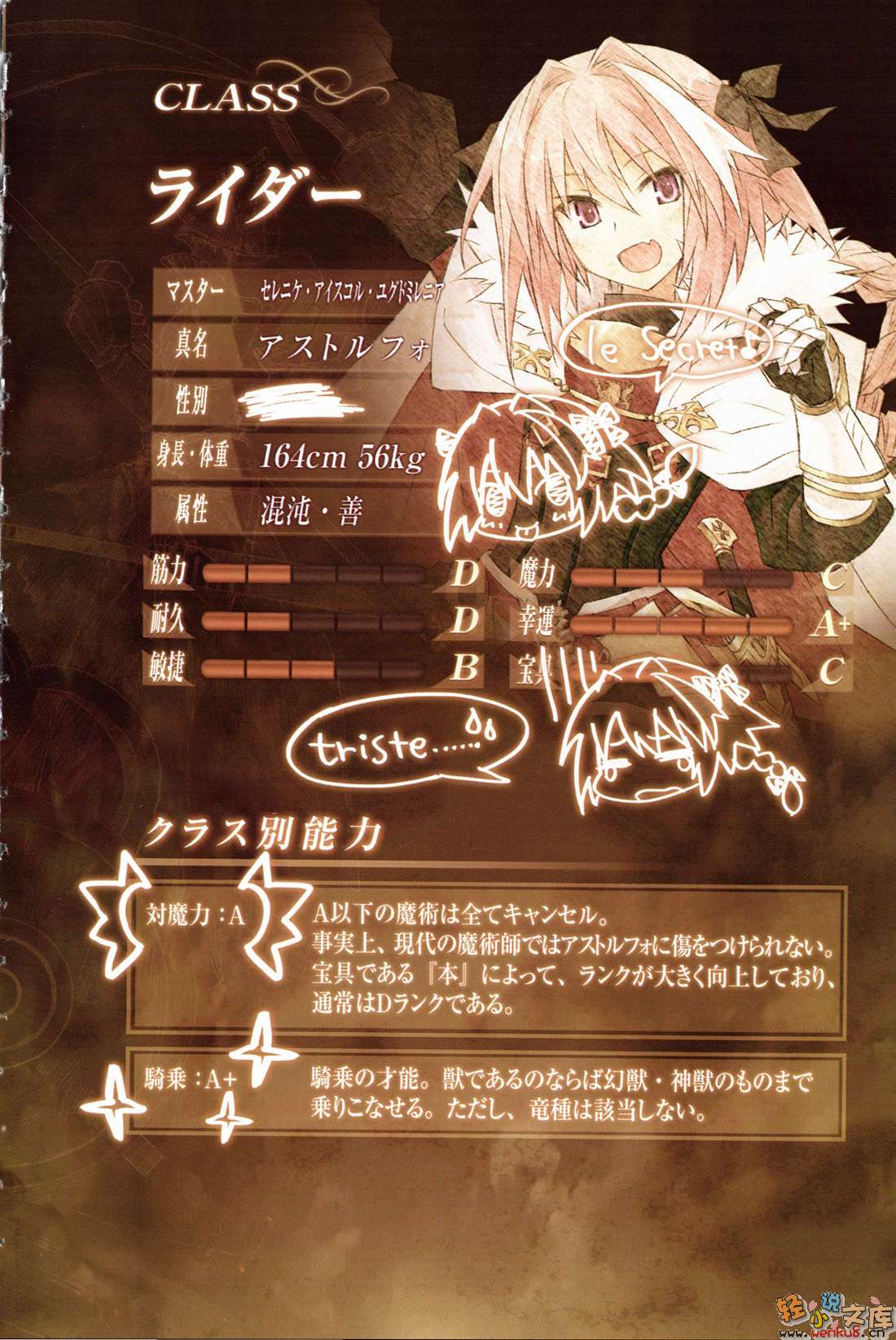 Fate Apocrypha小说插图（54）