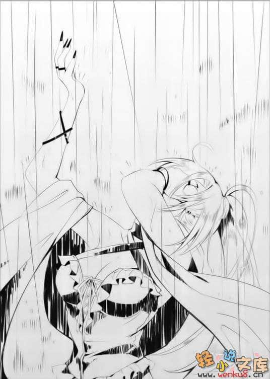 《降临于我与她之夜》4 The Party 牺牲狂者 插图（14）
