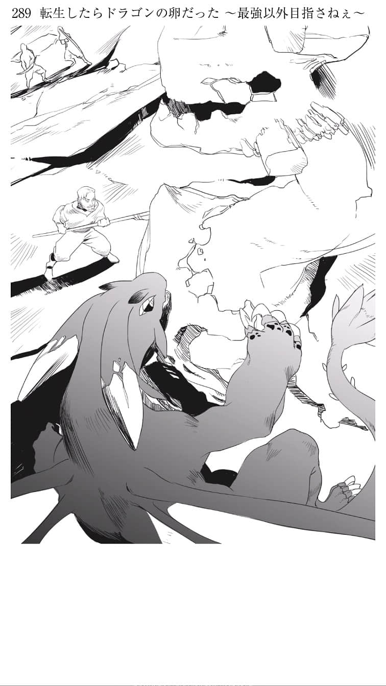 转生龙蛋 ～目标只有最强小说插图（24）