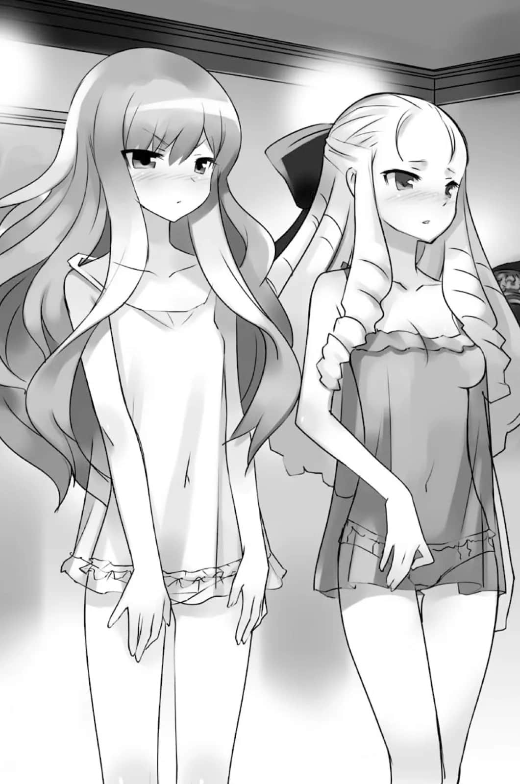 《零之使魔》11 追忆的二重奏 第五章 新学期插图（1）
