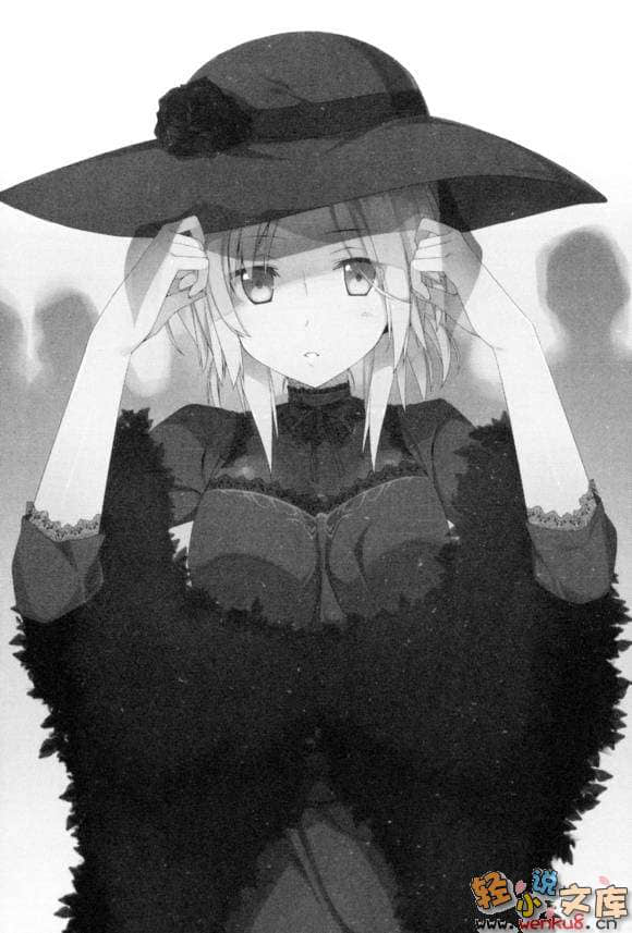 《月花歌姬与魔技之王》2 插图（7）