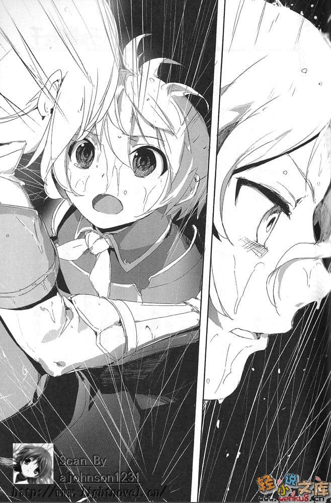 《剑之女王与烙印之子》7 插图（10）