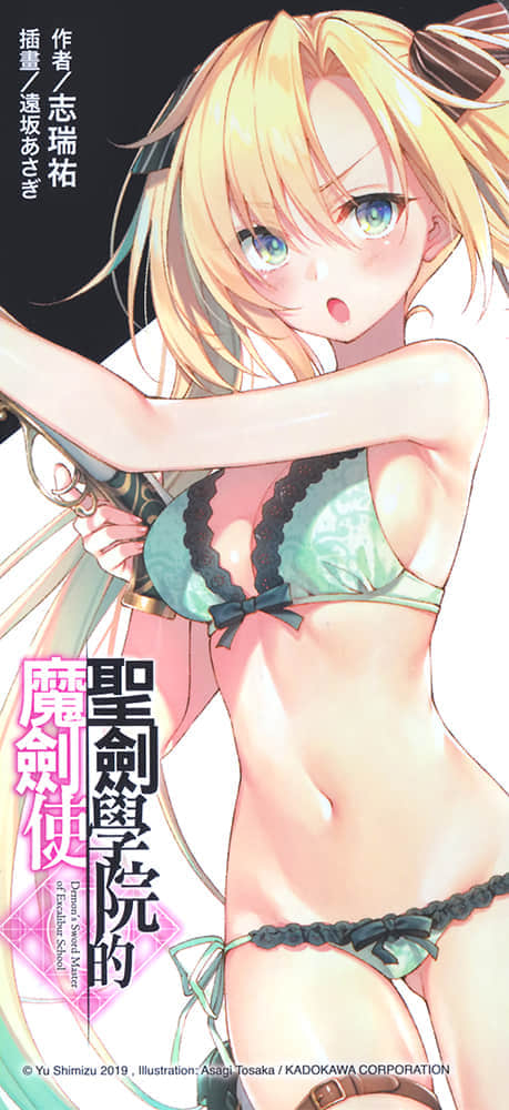 聖劍學院的魔劍使小說插圖（39）