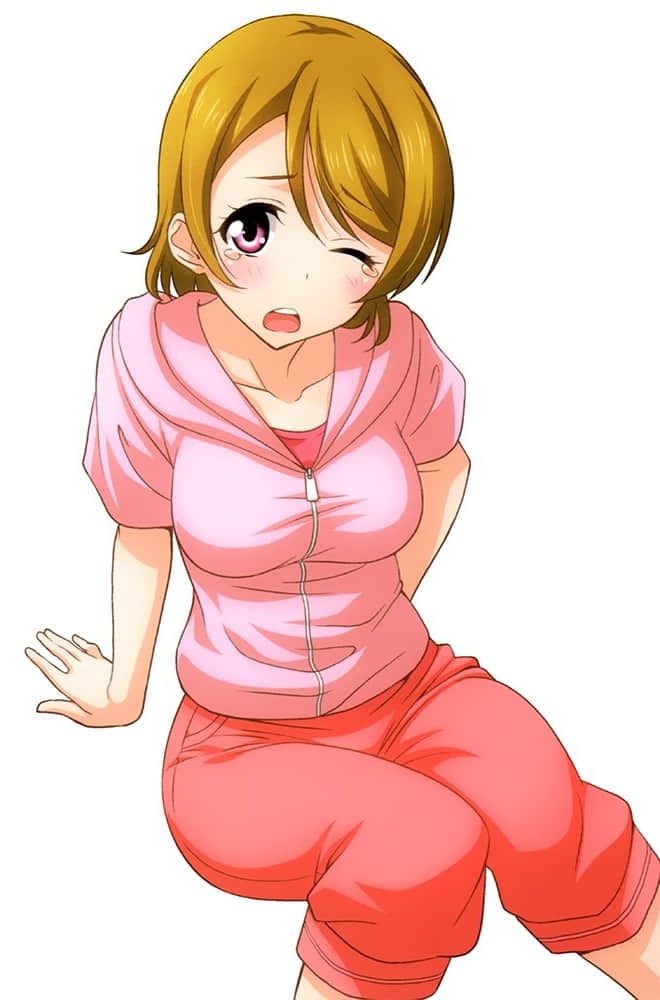 LOVELIVE！School idol diary小說插圖（41）