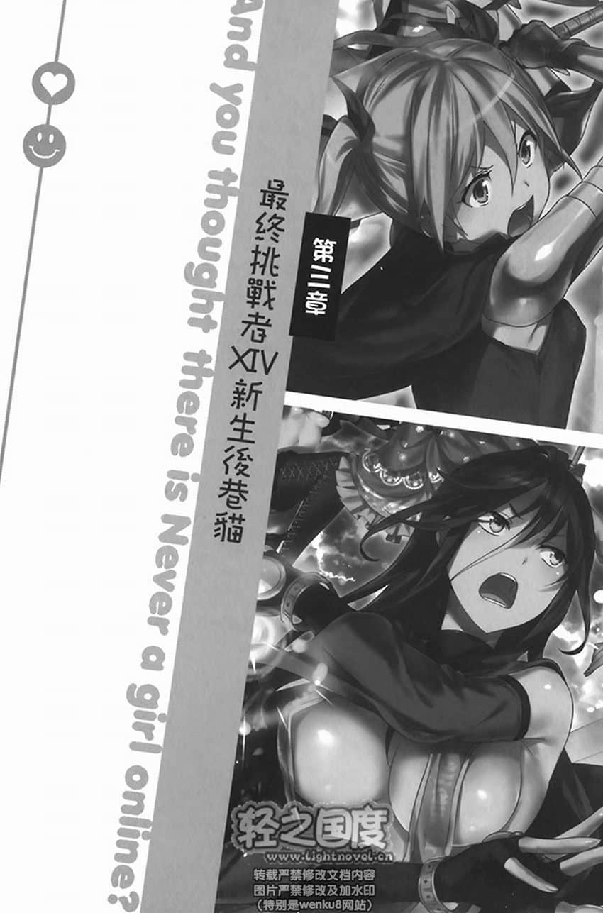 《线上游戏的老婆不可能是女生?》4 第三章 最终挑战者ⅩⅣ新生后巷猫插图(1)
