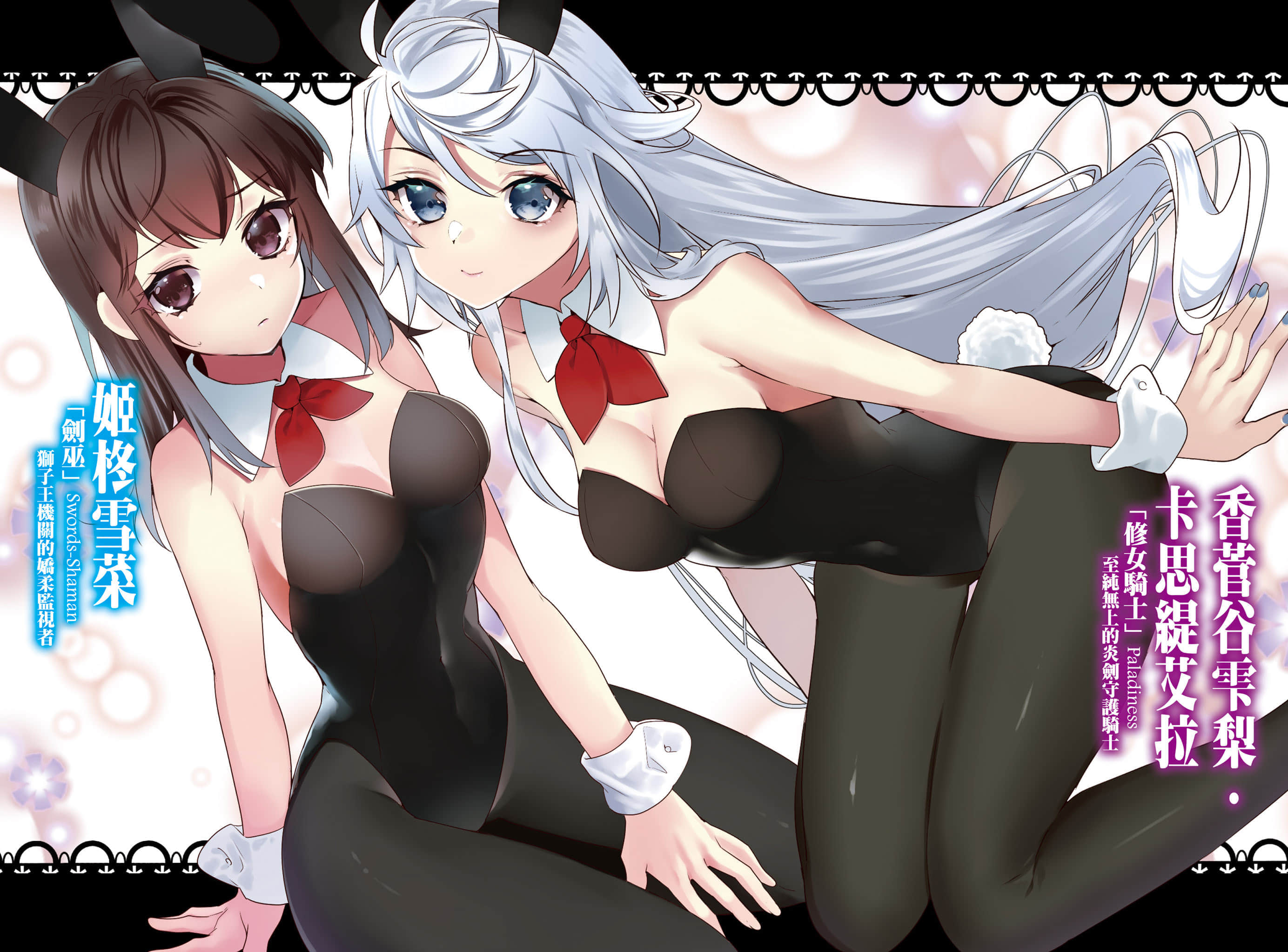 《噬血狂袭 Strike the Blood》21 十二眷兽与血之随从们 插图（3）