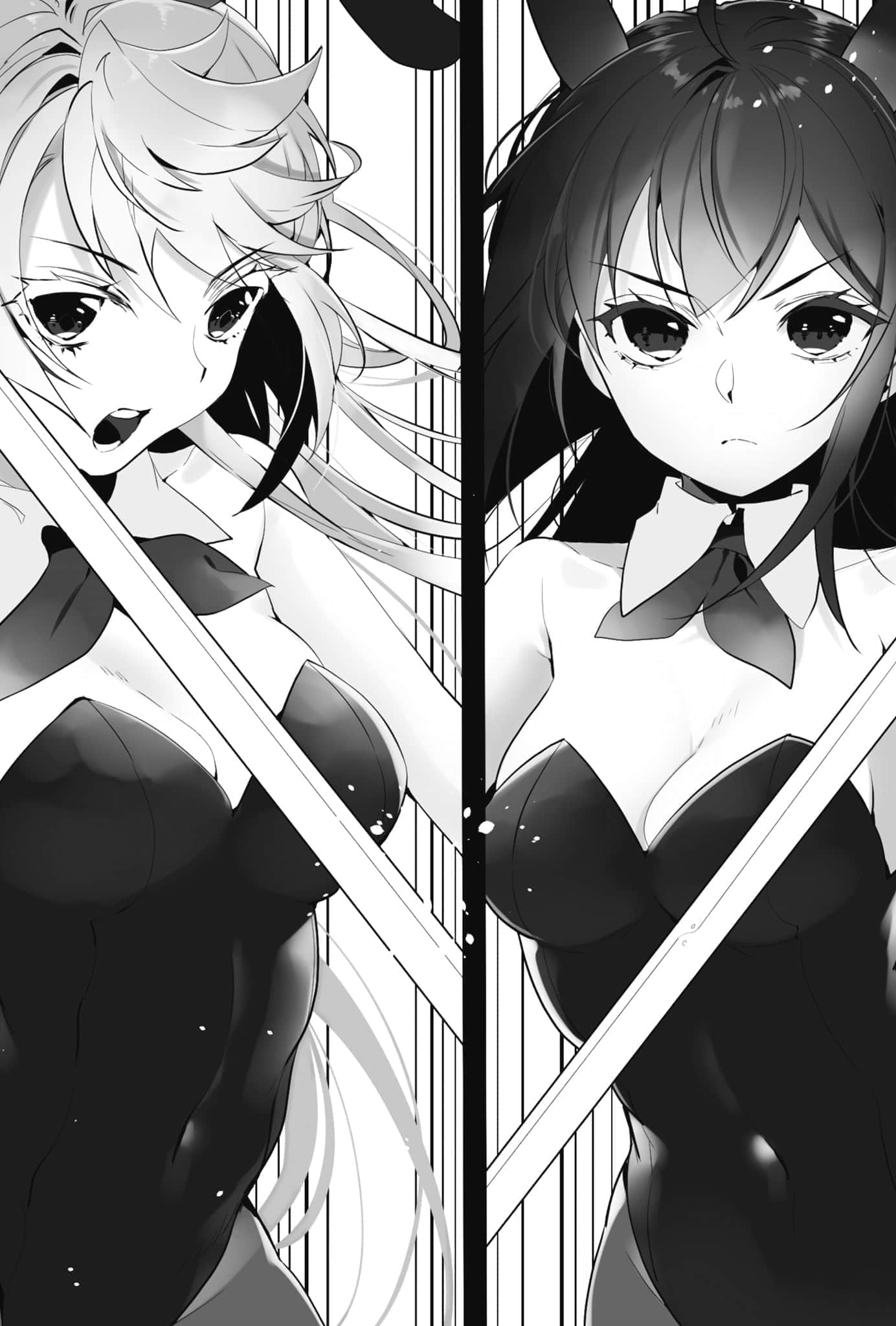 《噬血狂袭 Strike the Blood》21 十二眷兽与血之随从们 第四章 追忆 Recollections插图（3）