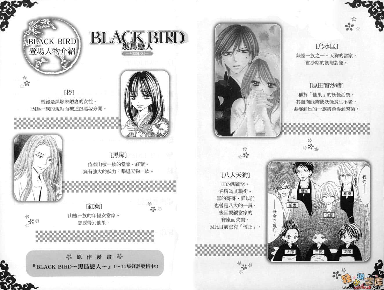 BLACK BIRD 黑鸟恋人小说插图（2）