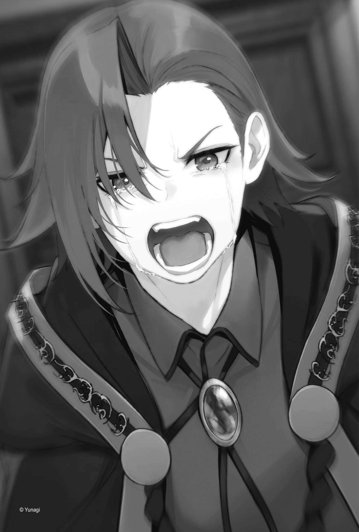 杖与剑的魔剑谭 引导之魔录书小说插图（8）