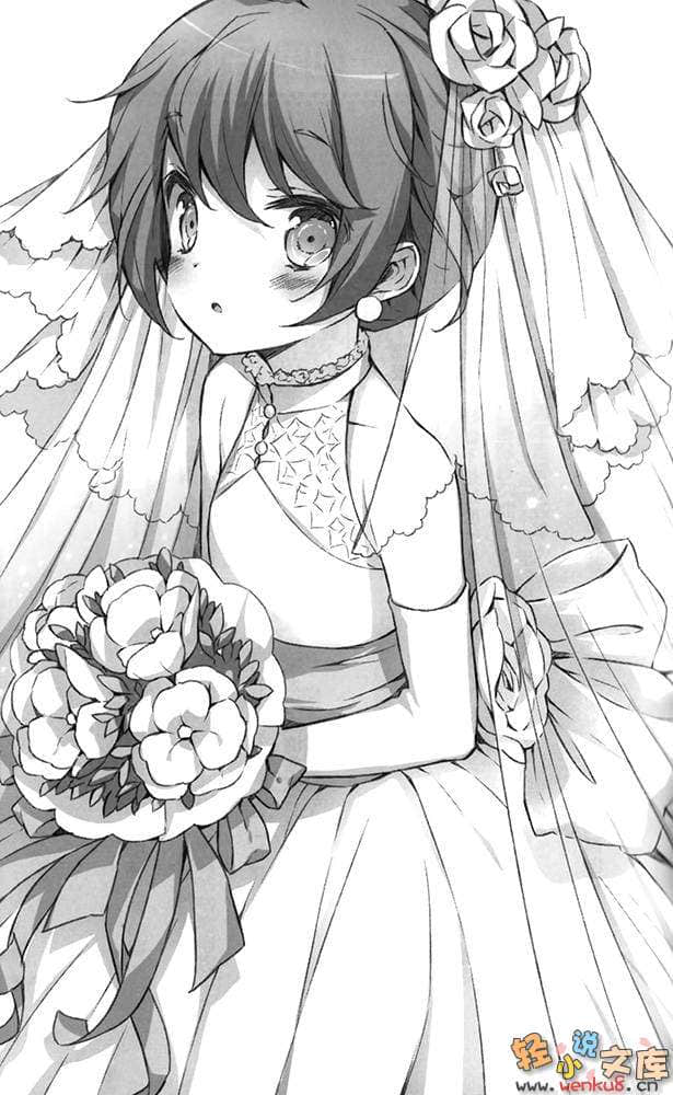 如果折断她的旗小说插图（53）