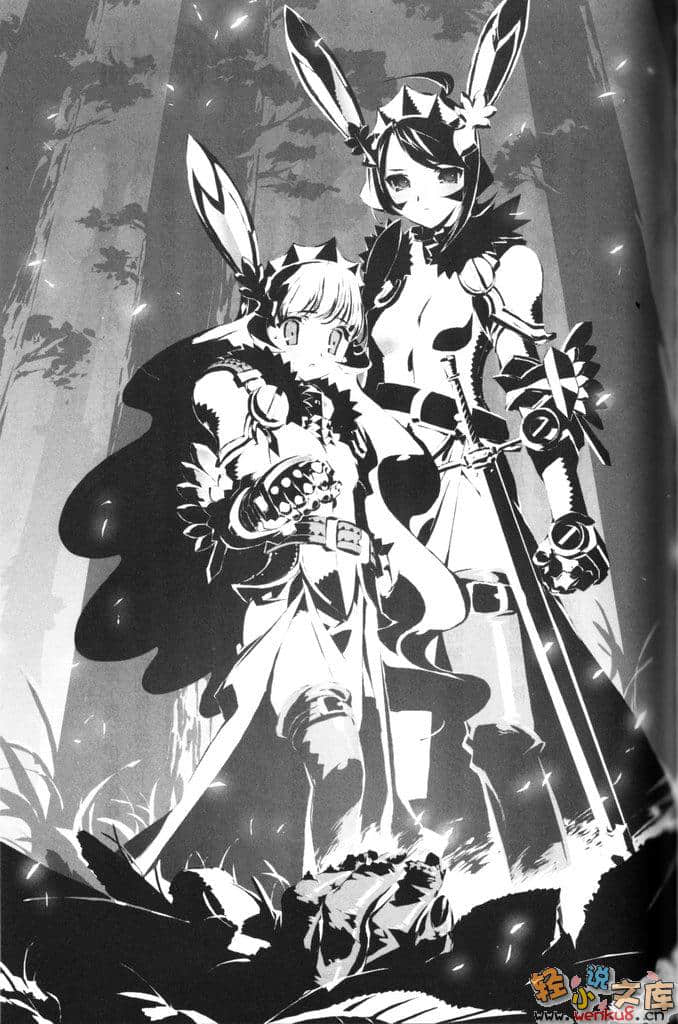 《钢铁白兔骑士团》2 插图（12）