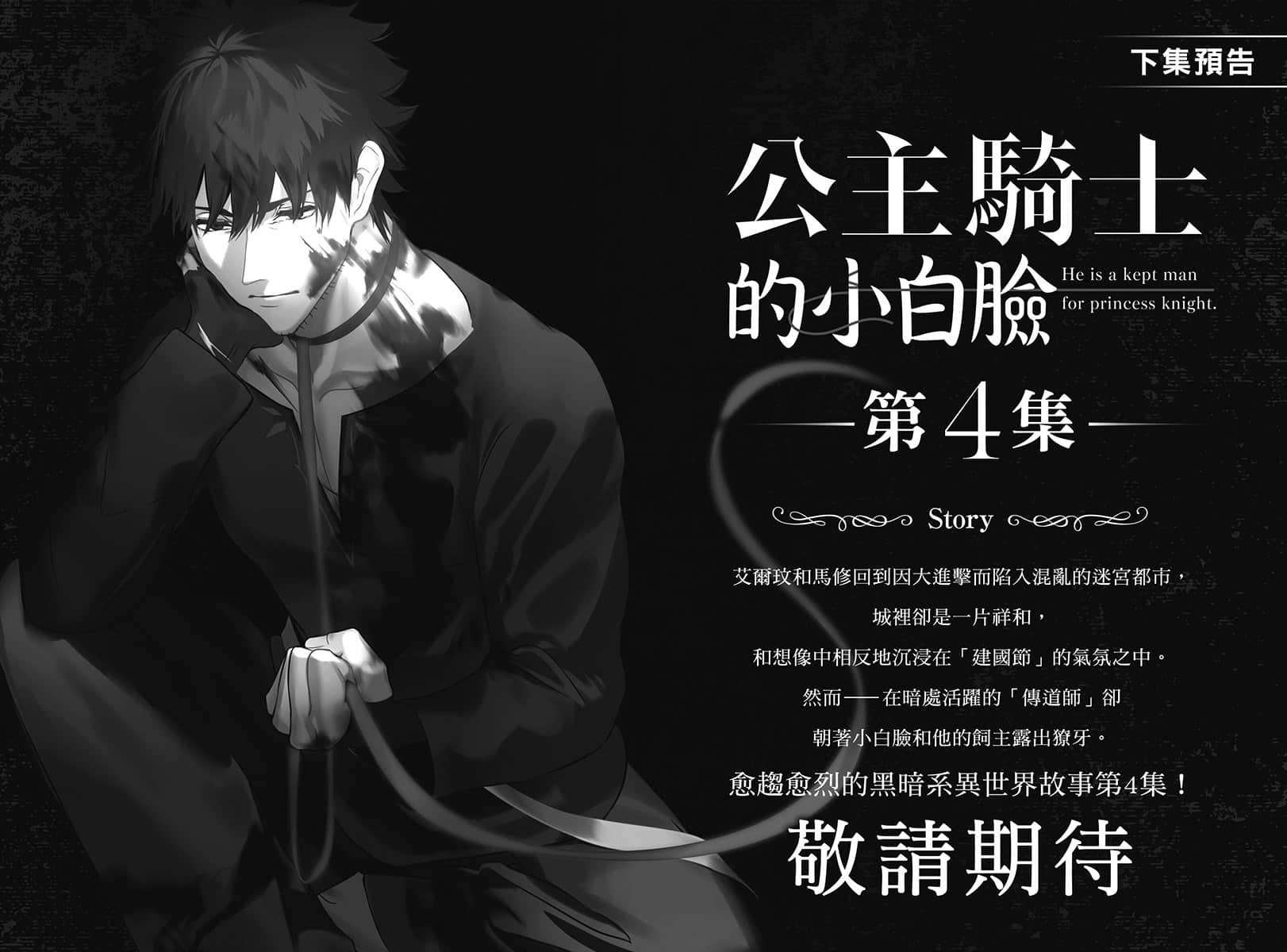 公主骑士的小白脸小说插图（54）