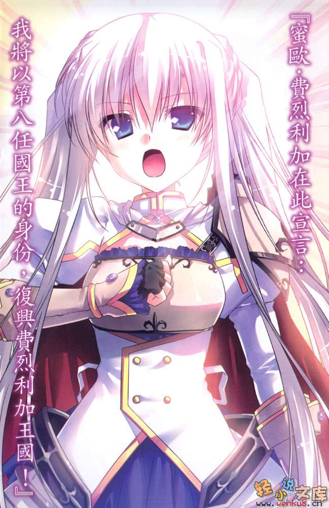 天翔虎军师小说插图（1）