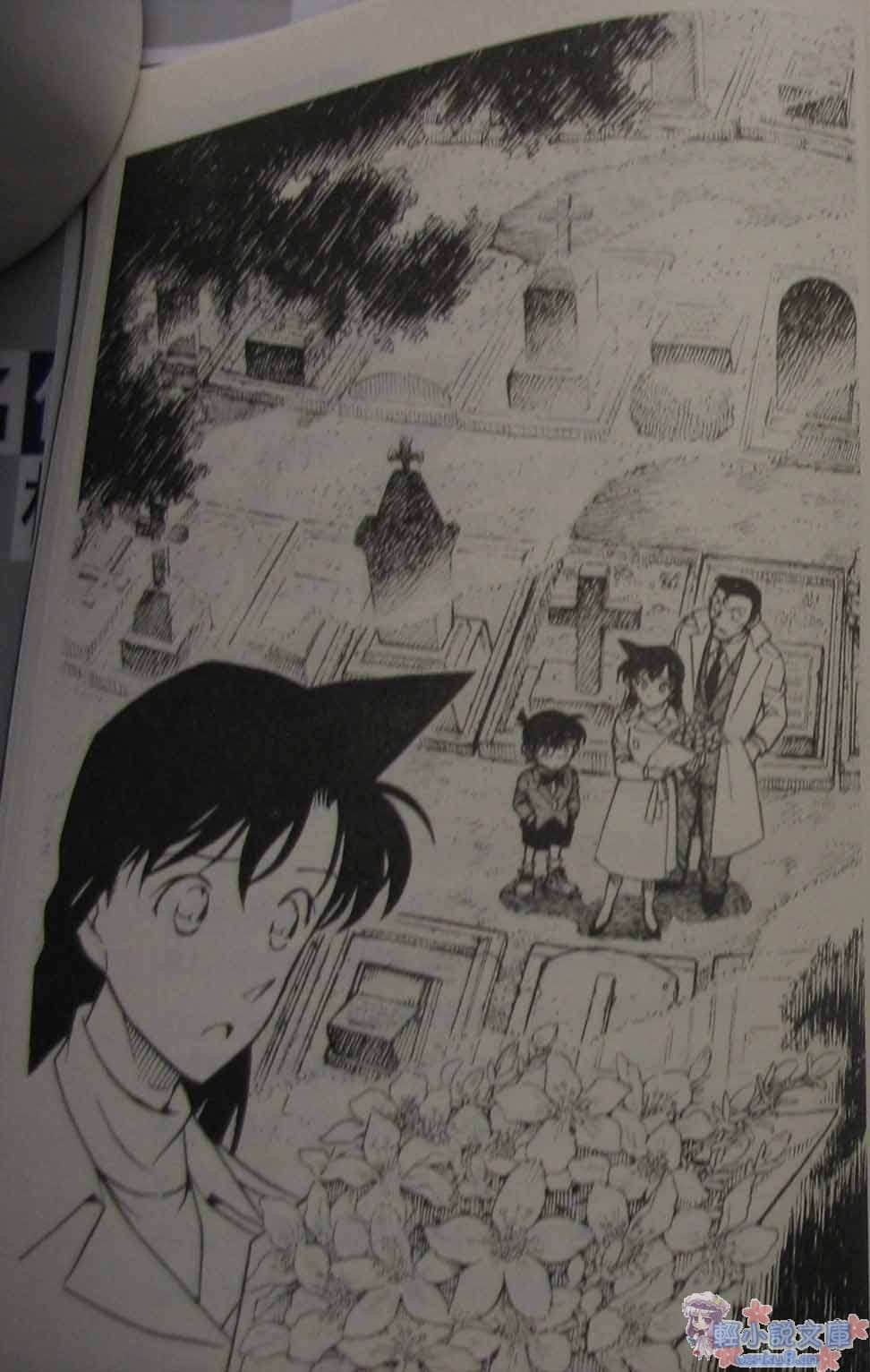 《名侦探柯南》特别篇 工藤新一复活 与黑衣组织的对决 插图（6）