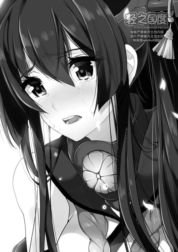 舰队Collection 鹤翼之绊小说插图（32）