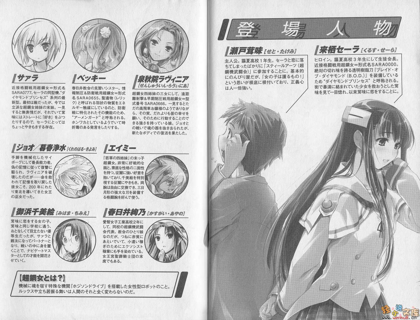《超钢女雪拉》13 黄金乐章、超钢女雪拉 插图（5）