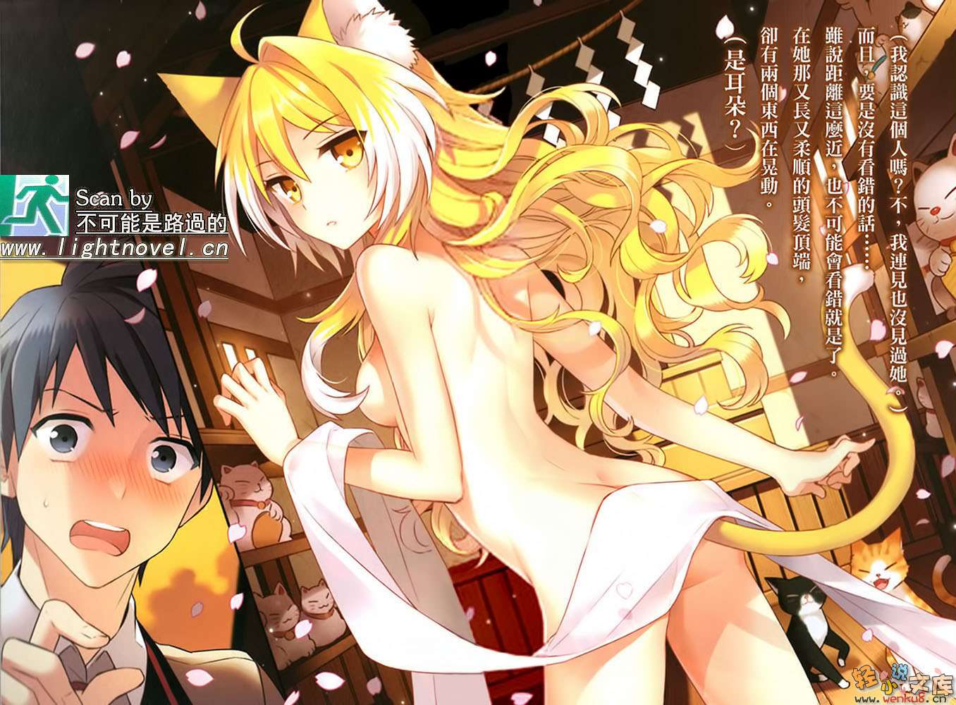 《我无法说明她有猫耳与尾巴的理由》1 插图（3）