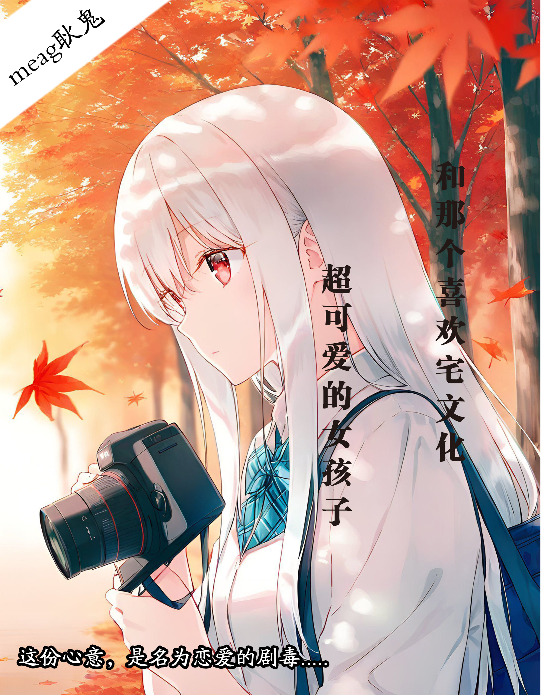 《和那个喜欢宅文化的超可爱女孩子》恋爱时节 恋爱时节『封面与简介』插图（1）