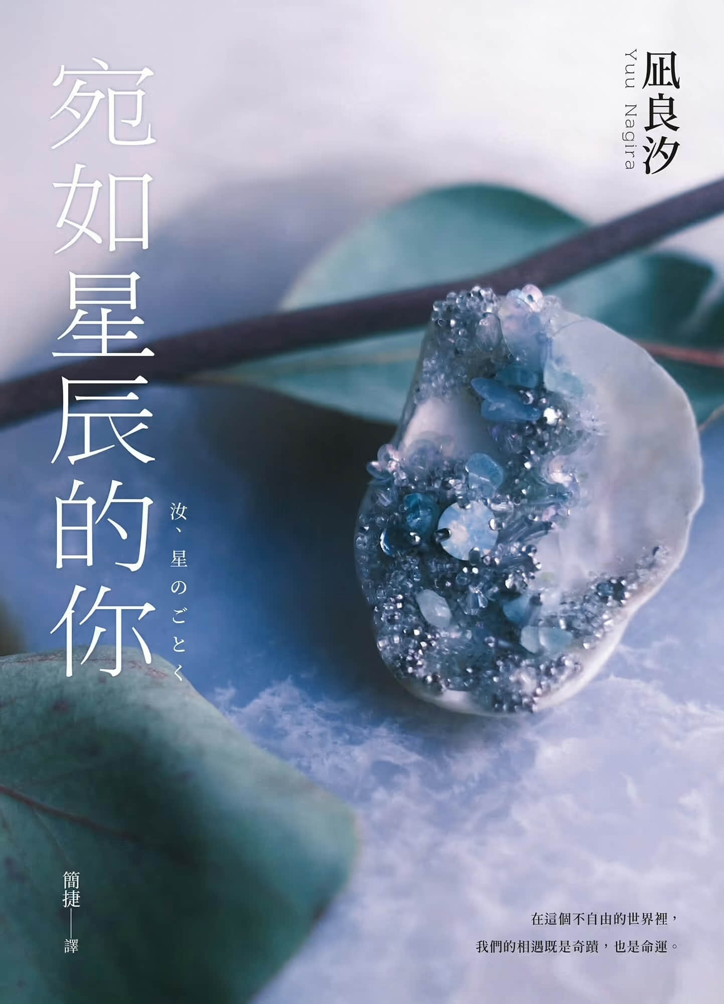 宛如星辰的你小说插图（6）