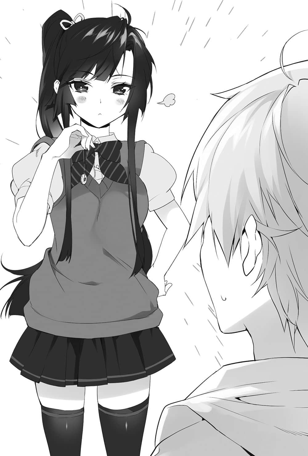 《噬血狂袭 Strike the Blood》18 真说女武神的王国 插图（12）
