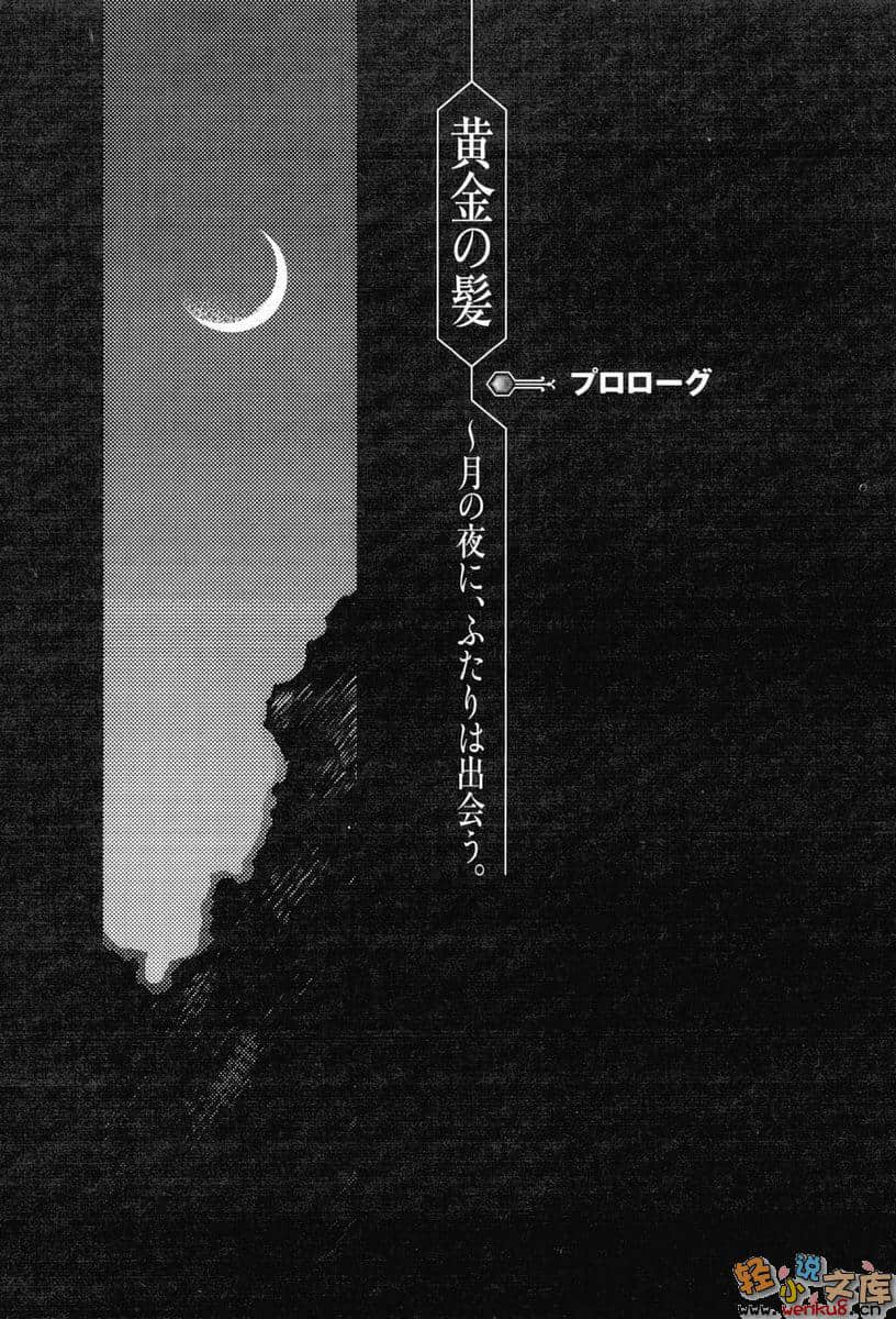 黑妖精之吻小说插图（16）