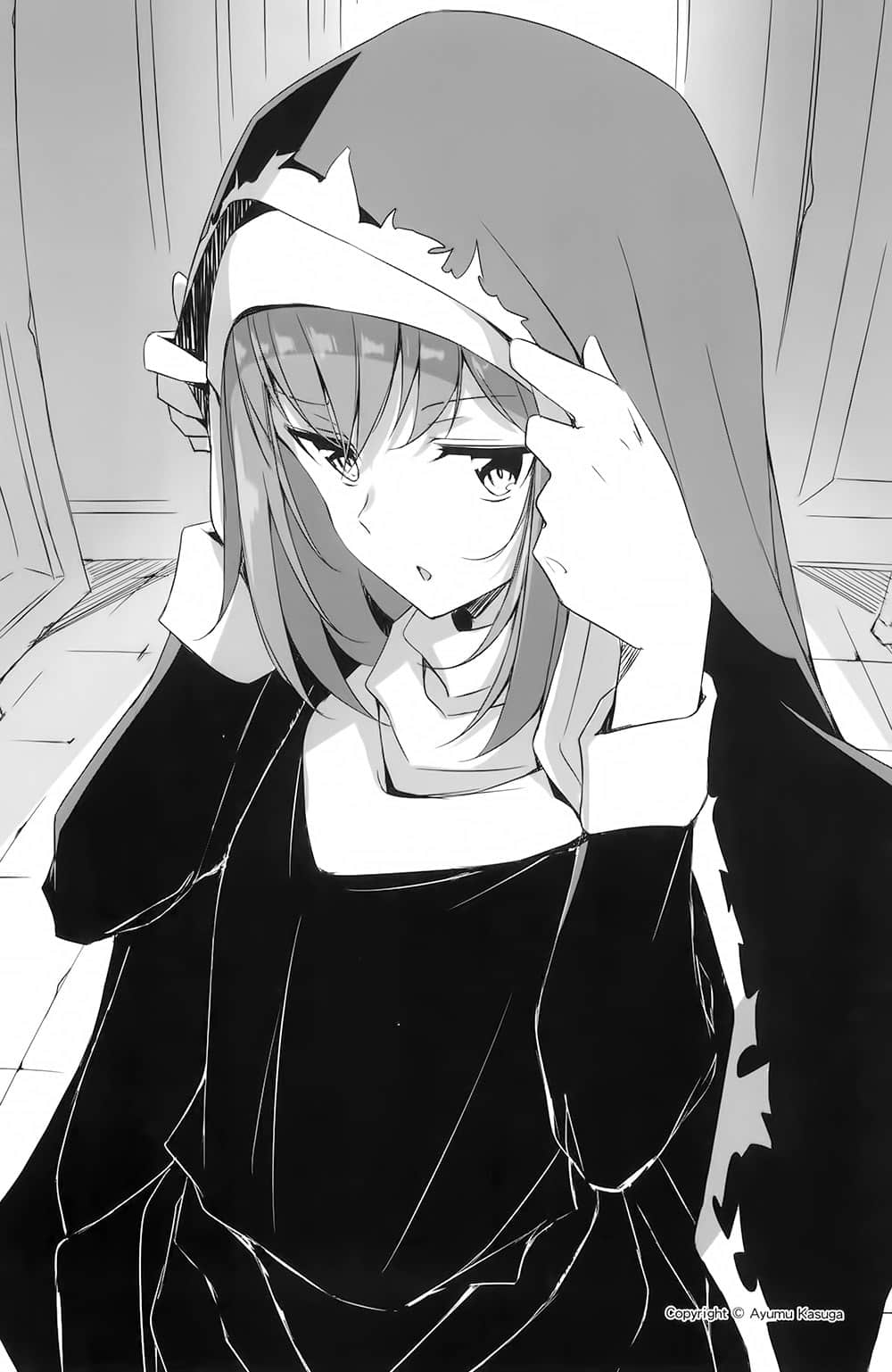 《最弱无败神装机龙《巴哈姆特》》10 插图(15)