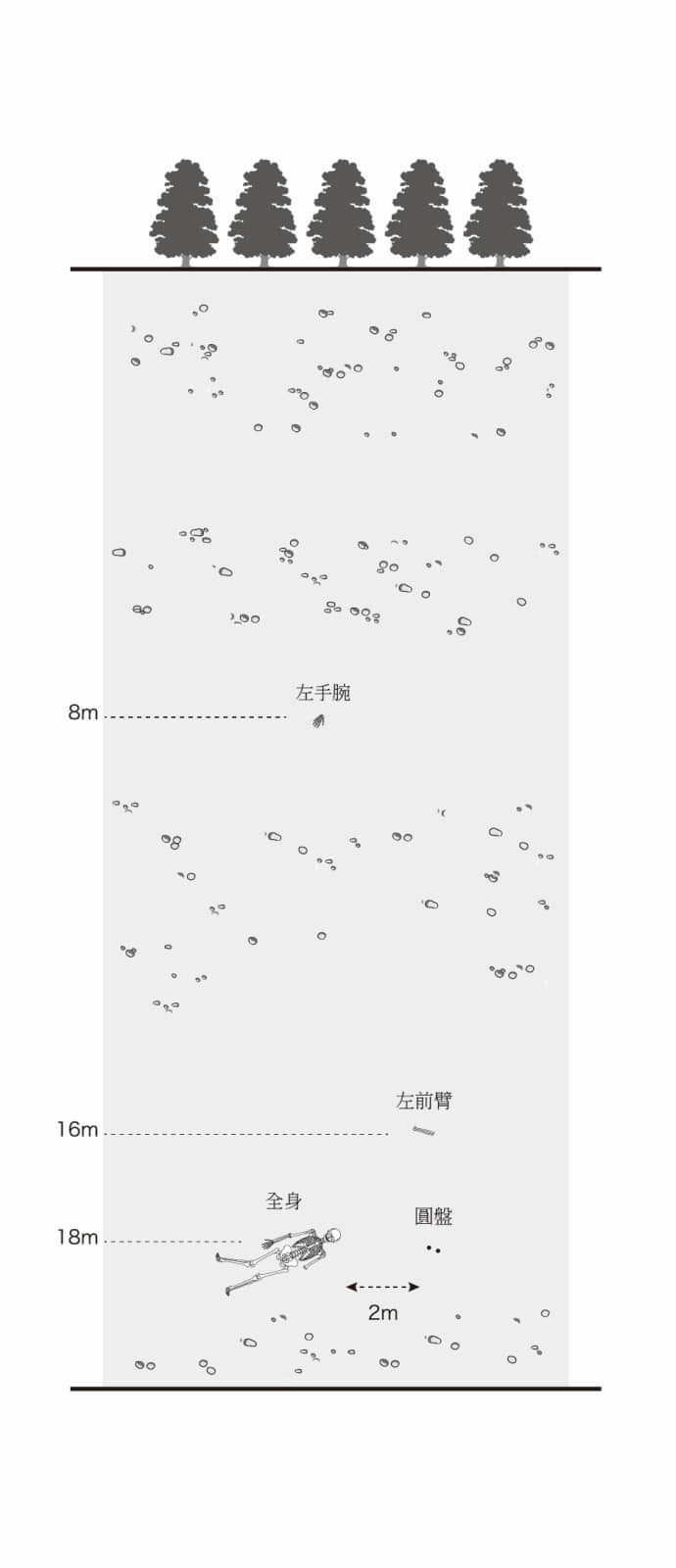 我是怪异，你是怪物小说插图（4）