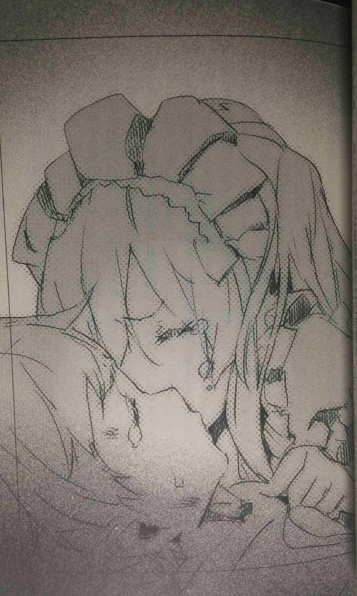 《OUTBREAK COMPANY 萌萌侵略者》12 插图（11）
