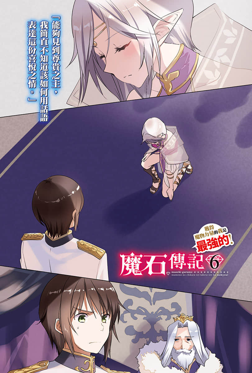 《魔石传记 获得魔物力量的我是最强的！》6 插图（2）