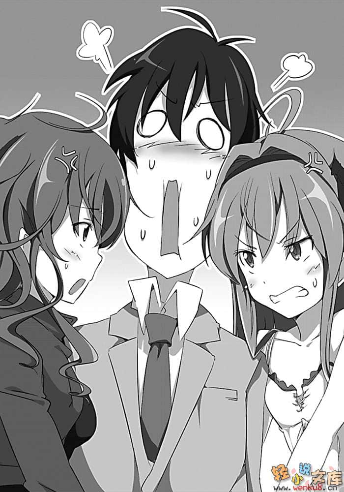 《奋斗吧！系统工程师》9 轻松赚钱？服务开发 插图（12）