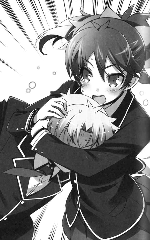 《笨蛋，测验，召唤兽》10 插图（17）