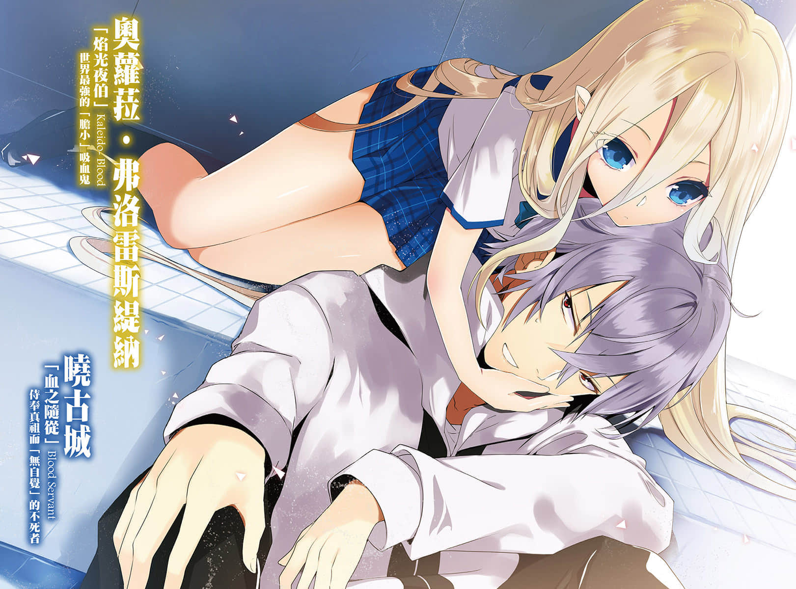 《噬血狂袭 Strike the Blood》8 愚者和暴君 插图（3）