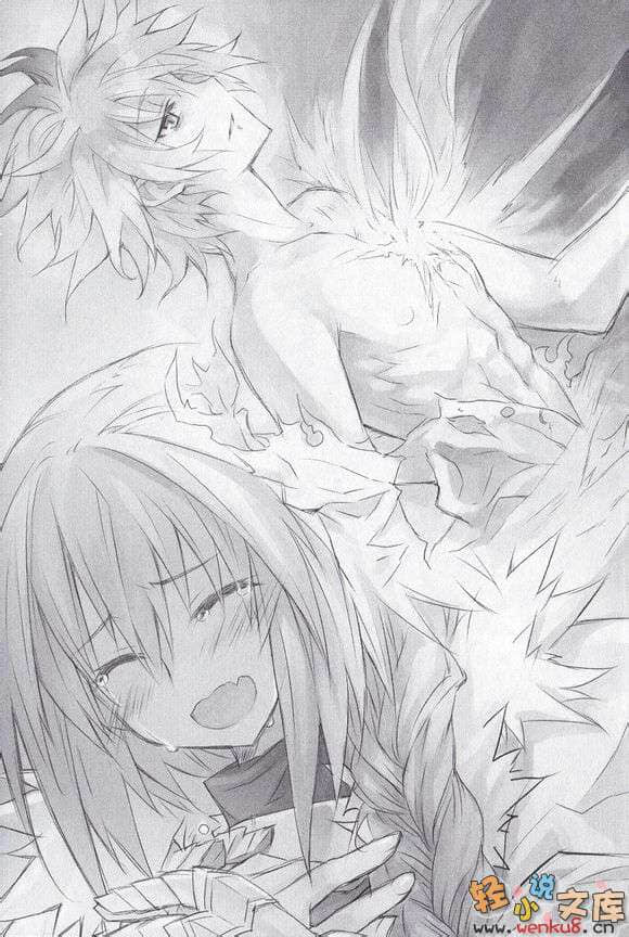 Fate Apocrypha小说插图（20）