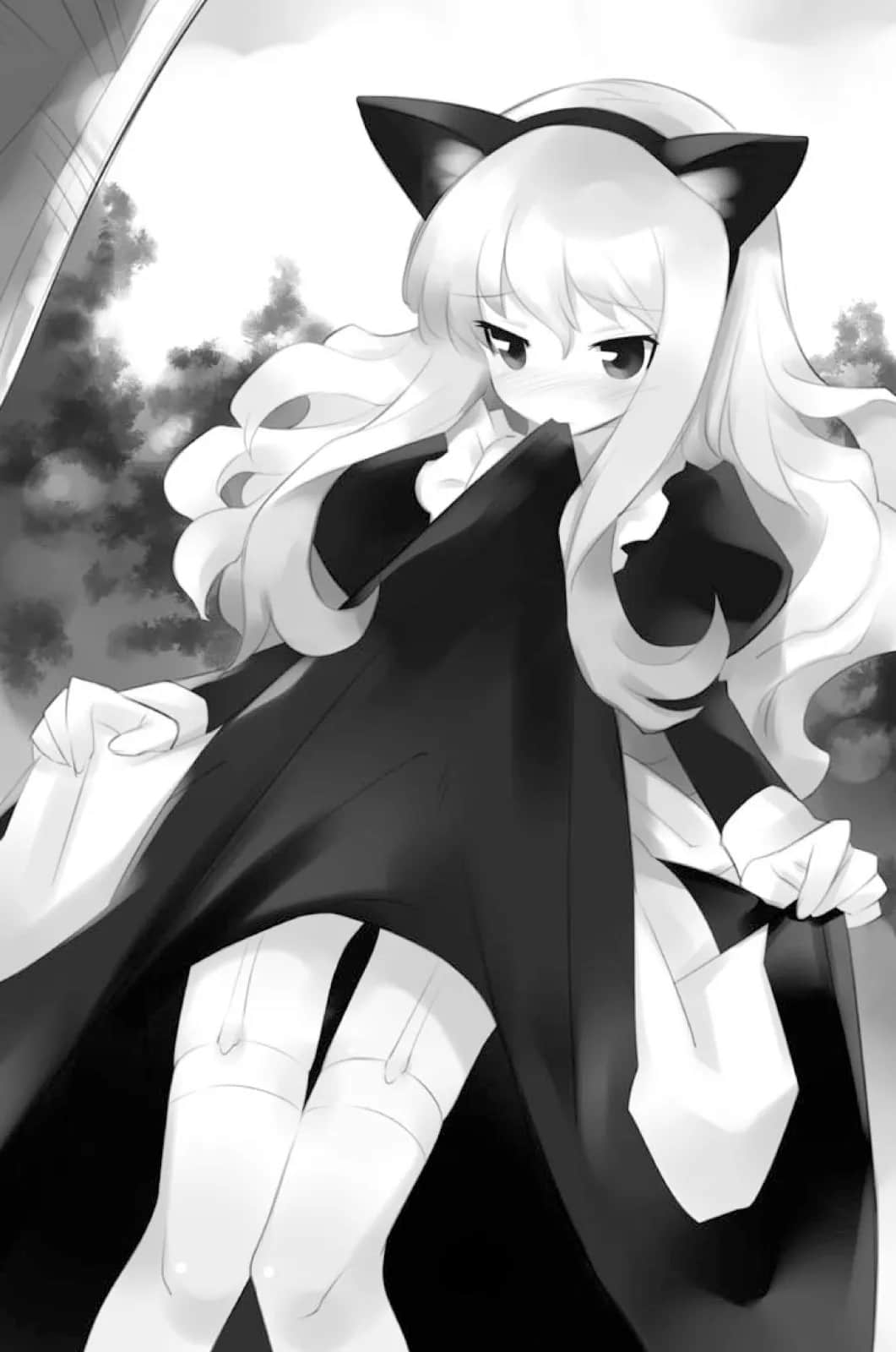 零之使魔小说插图（111）