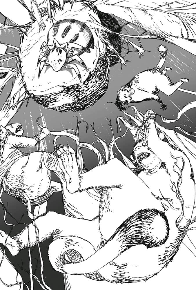 《转生成蜘蛛又怎样！》1 插图（13）