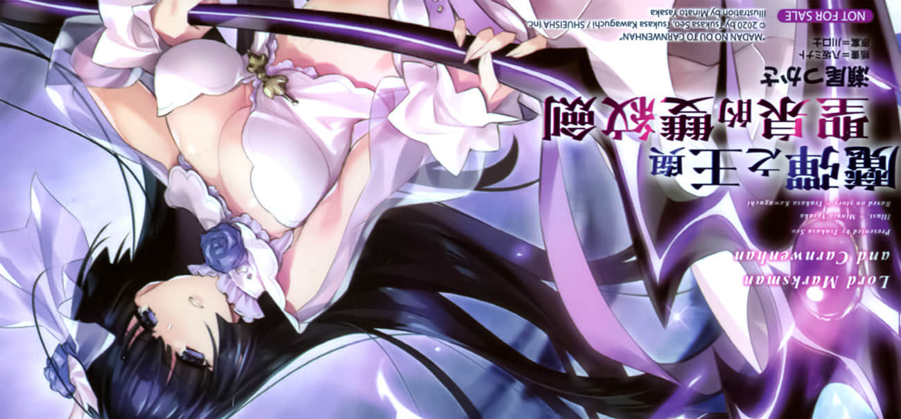 《魔弹之王与圣泉的双纹剑》4 后记插图(3)