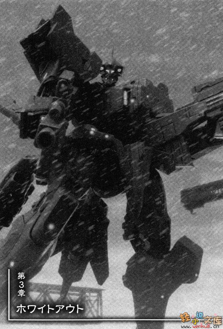 《MUV-LUV Schwarzes marken》4 插图（22）