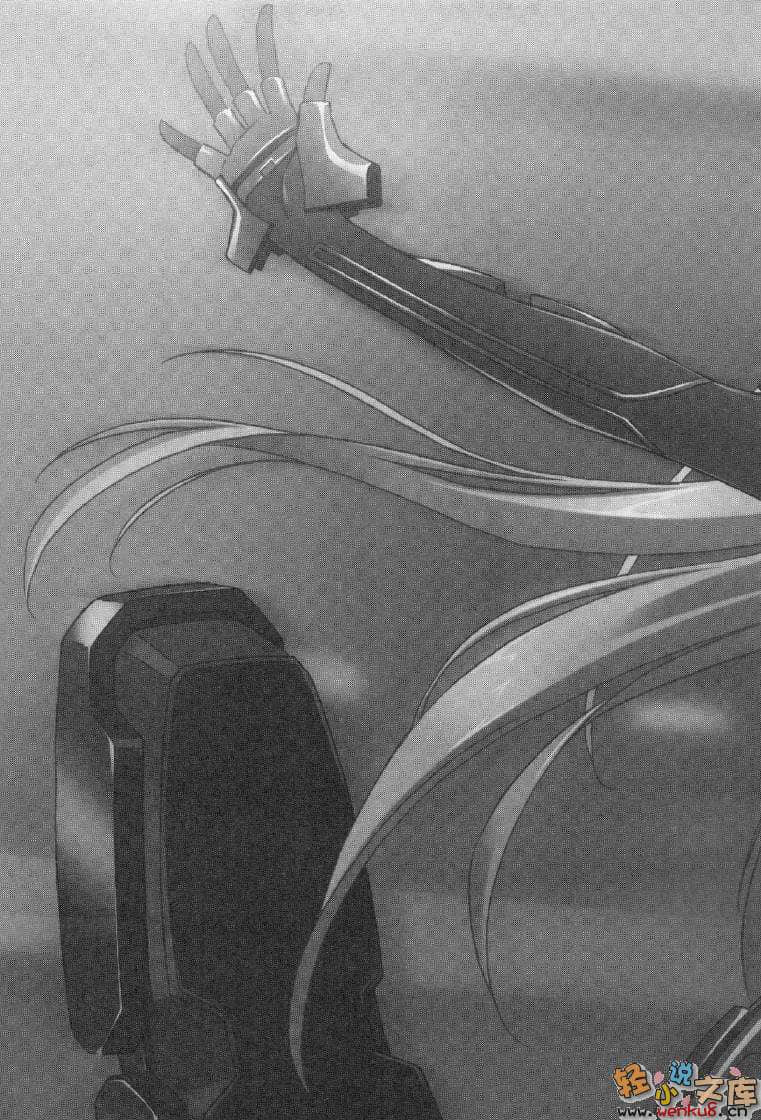 《MUV-LUV Schwarzes marken》2 插图（36）