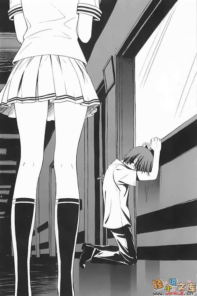 降临于我与她之夜小说插图（21）