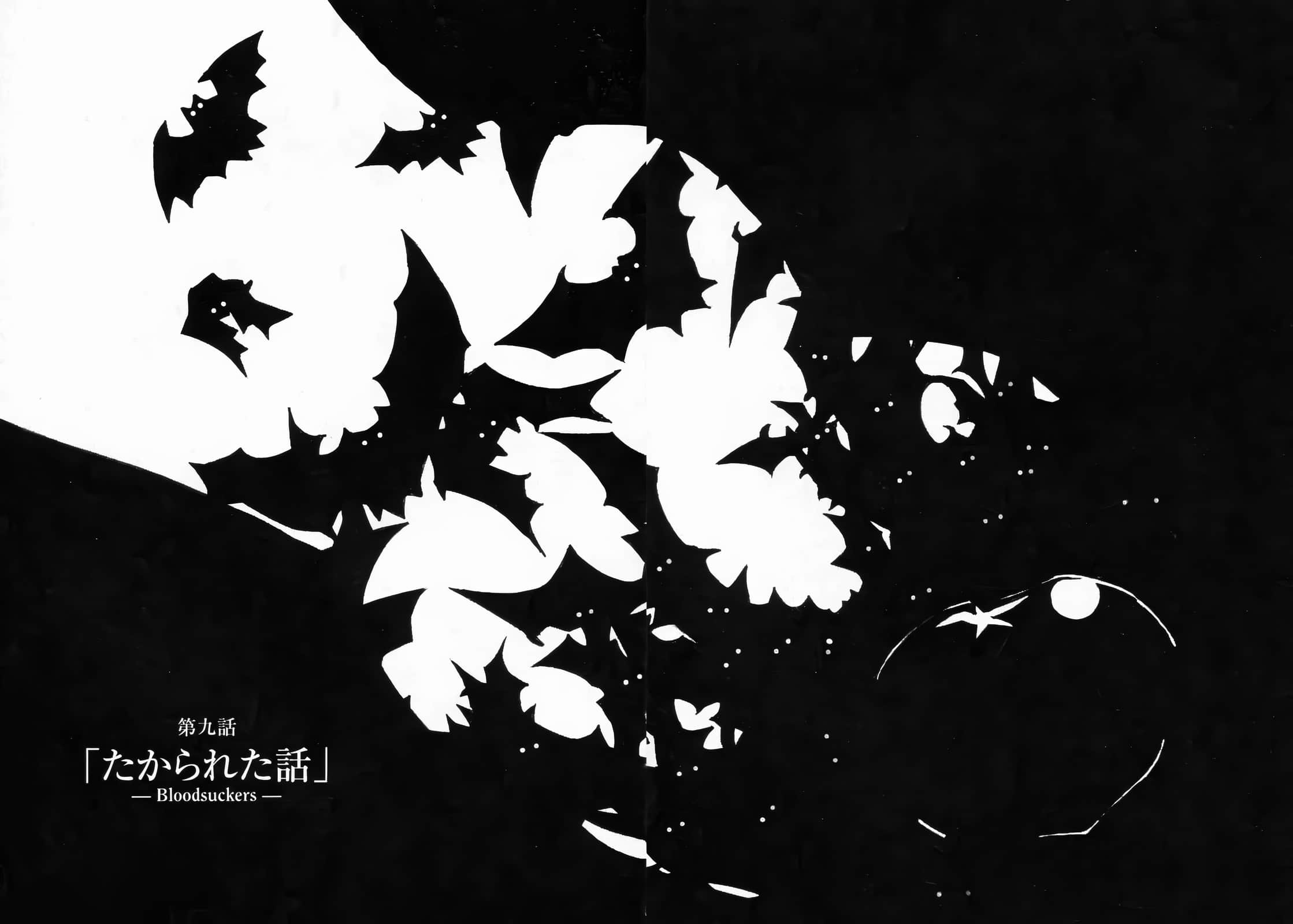 《奇诺之旅》4 插图（16）